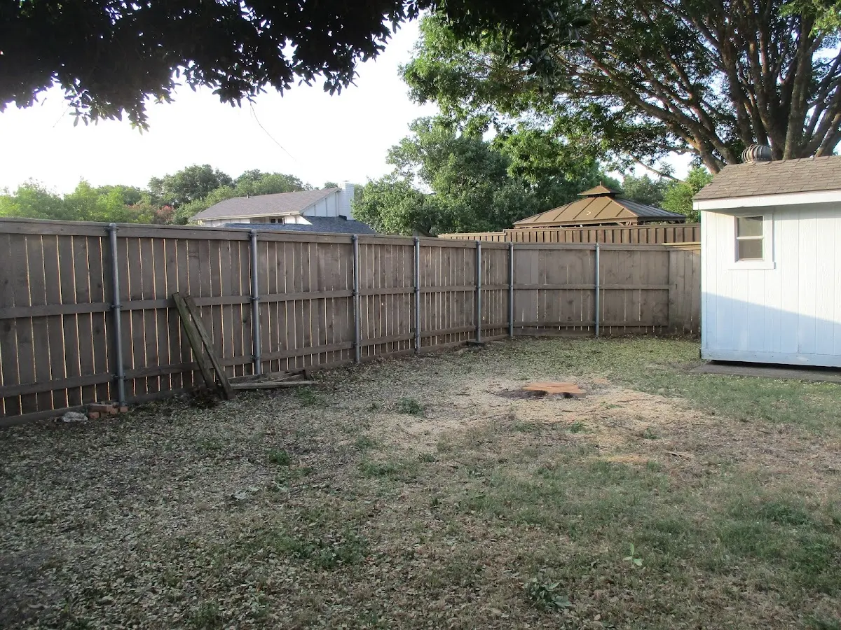 Cleared yard after professional tree removal in White Plains